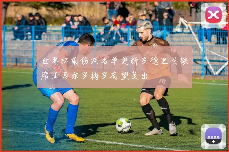 世界杯前伤病名单更新罗德里戈缺席亚马尔罗梅罗有望复出