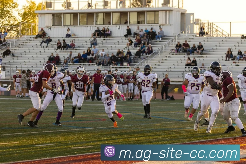 App Interface Preview